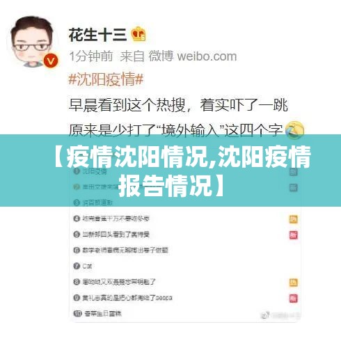 【疫情沈阳情况,沈阳疫情报告情况】