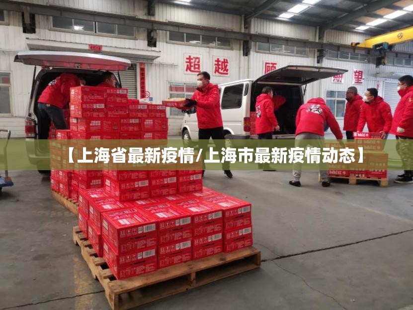 【上海省最新疫情/上海市最新疫情动态】