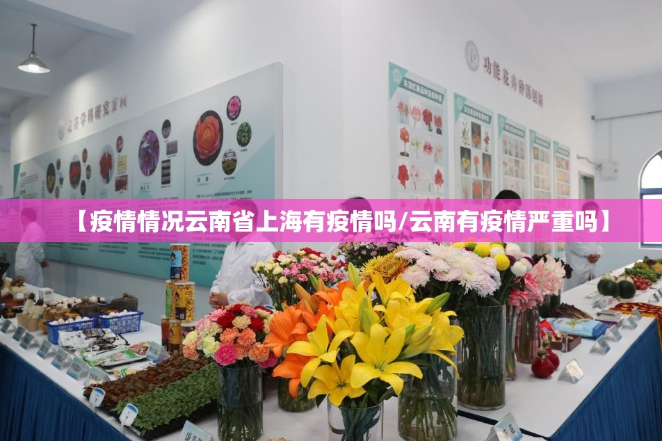 【疫情情况云南省上海有疫情吗/云南有疫情严重吗】