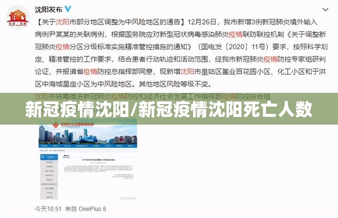 新冠疫情沈阳/新冠疫情沈阳死亡人数