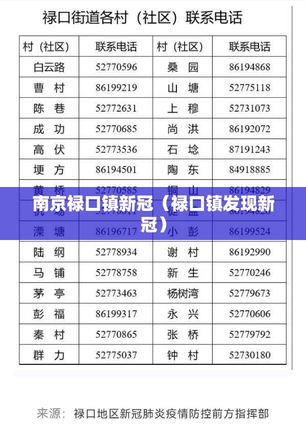 南京禄口镇新冠（禄口镇发现新冠）
