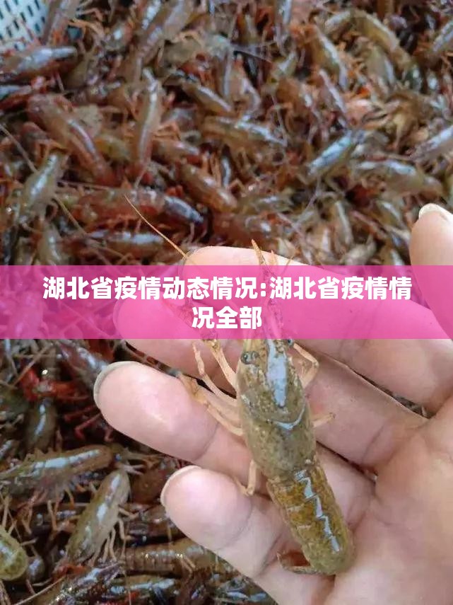 湖北省疫情动态情况:湖北省疫情情况全部