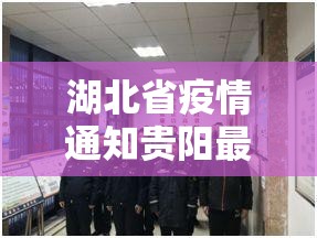 湖北省疫情通知贵阳最新消息/湖北省疫情官网