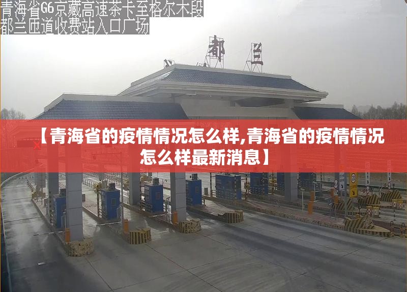 【青海省的疫情情况怎么样,青海省的疫情情况怎么样最新消息】