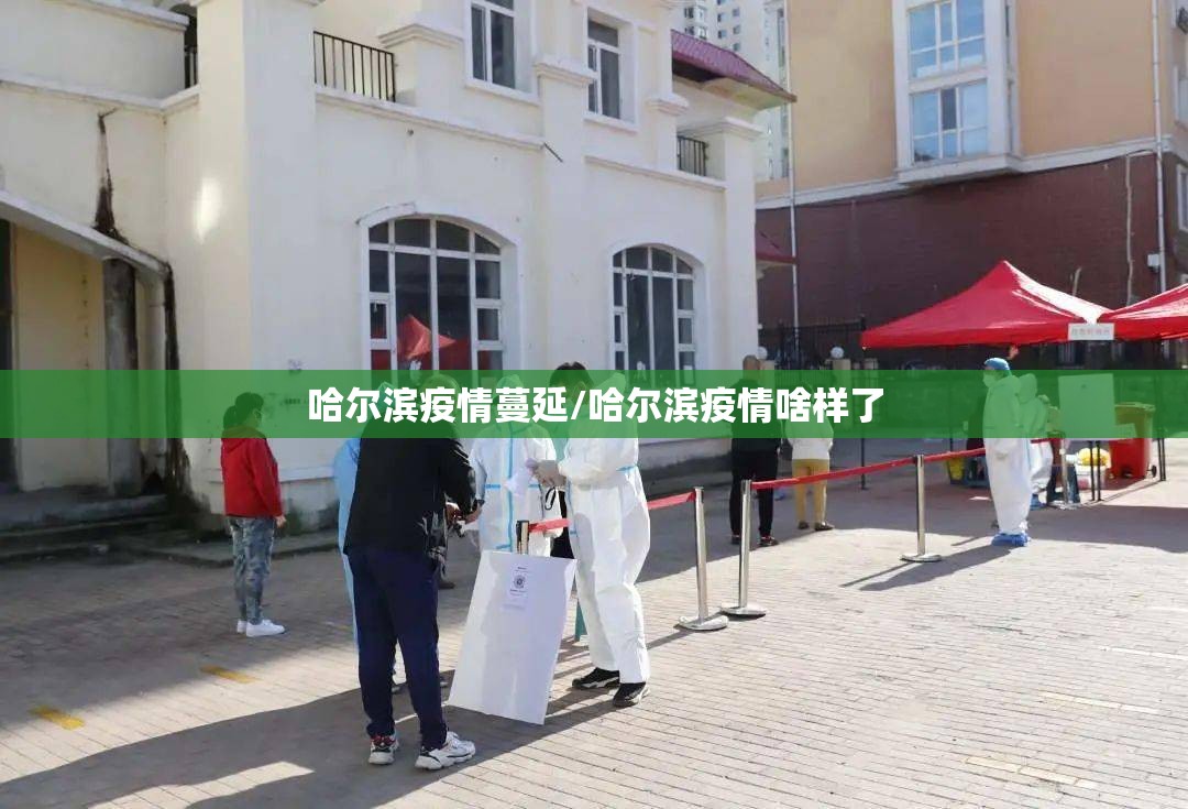 哈尔滨疫情蔓延/哈尔滨疫情啥样了