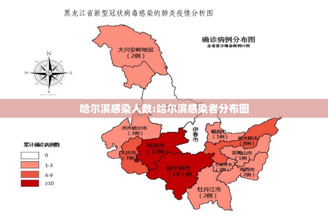 哈尔滨感染人数:哈尔滨感染者分布图