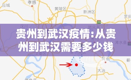 贵州到武汉疫情:从贵州到武汉需要多少钱?