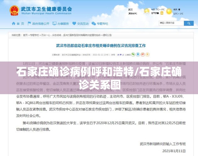石家庄确诊病例呼和浩特/石家庄确诊关系图