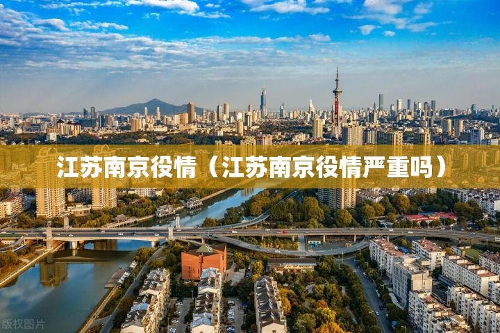 江苏南京役情（江苏南京役情严重吗）
