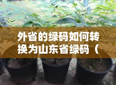 外省的绿码如何转换为山东省绿码（跨省绿码怎么转换）