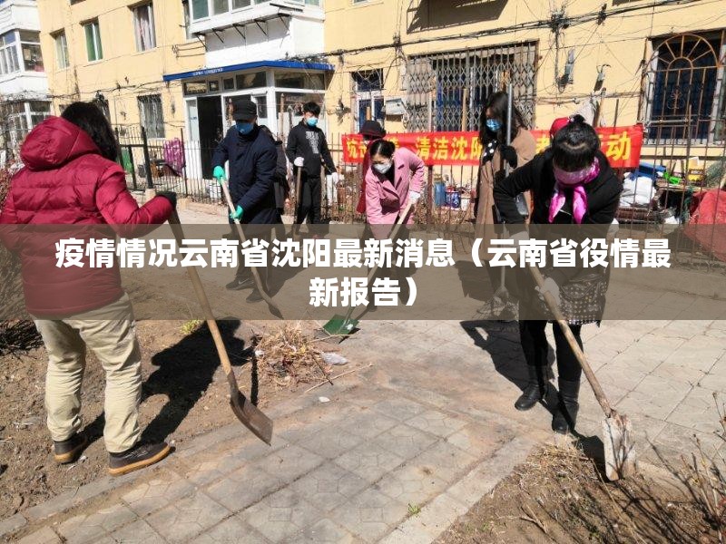 疫情情况云南省沈阳最新消息（云南省役情最新报告）