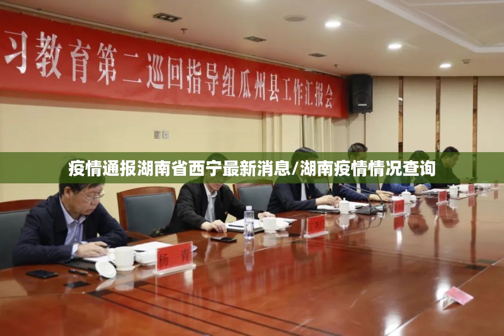 疫情通报湖南省西宁最新消息/湖南疫情情况查询