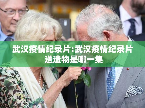 武汉疫情纪录片:武汉疫情纪录片 送遗物是哪一集
