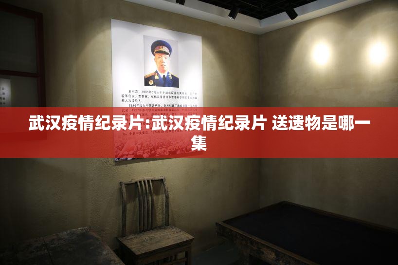 武汉疫情纪录片:武汉疫情纪录片 送遗物是哪一集