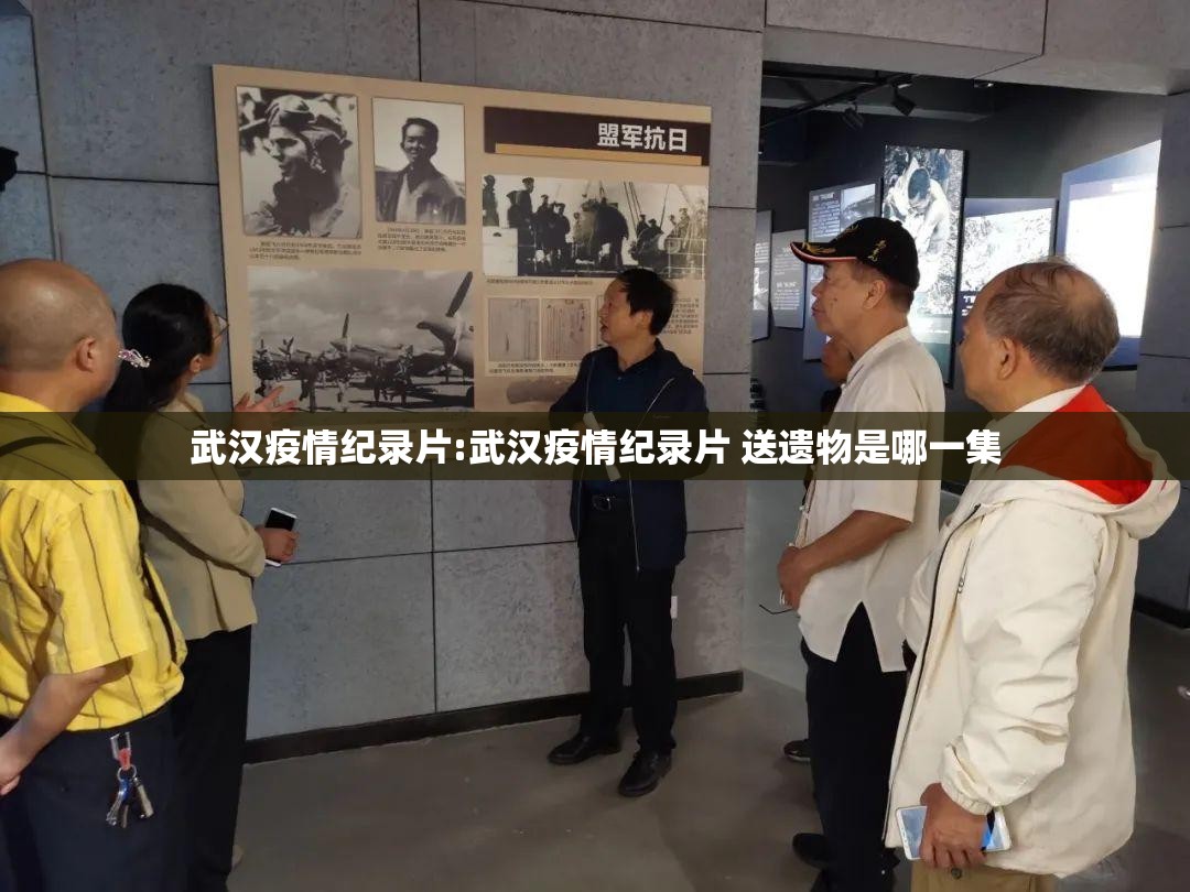 武汉疫情纪录片:武汉疫情纪录片 送遗物是哪一集