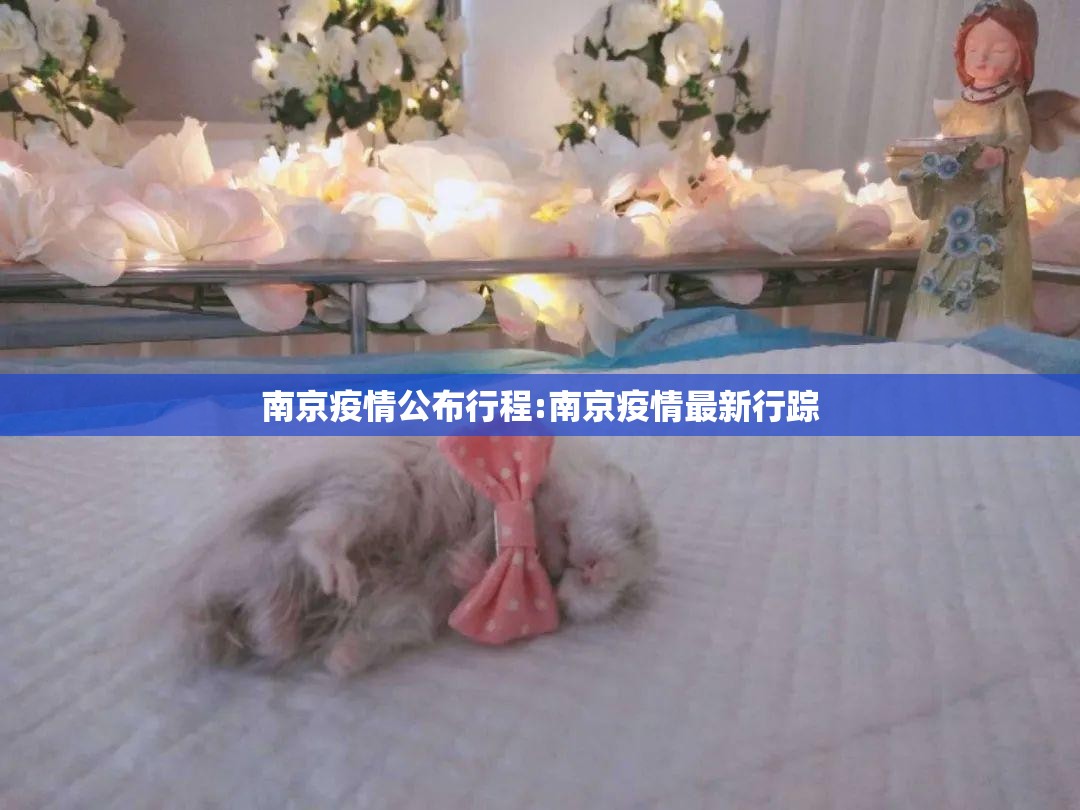 南京疫情公布行程:南京疫情最新行踪
