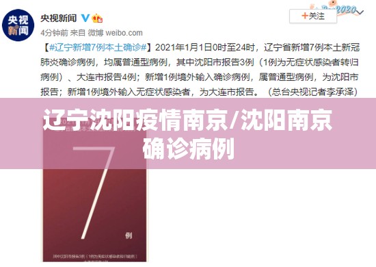 辽宁沈阳疫情南京/沈阳南京确诊病例
