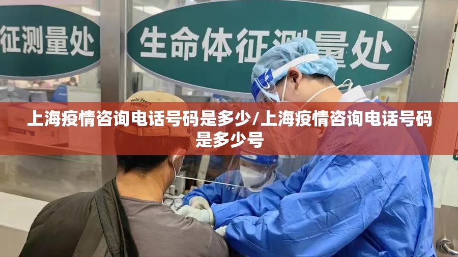 上海疫情咨询电话号码是多少/上海疫情咨询电话号码是多少号