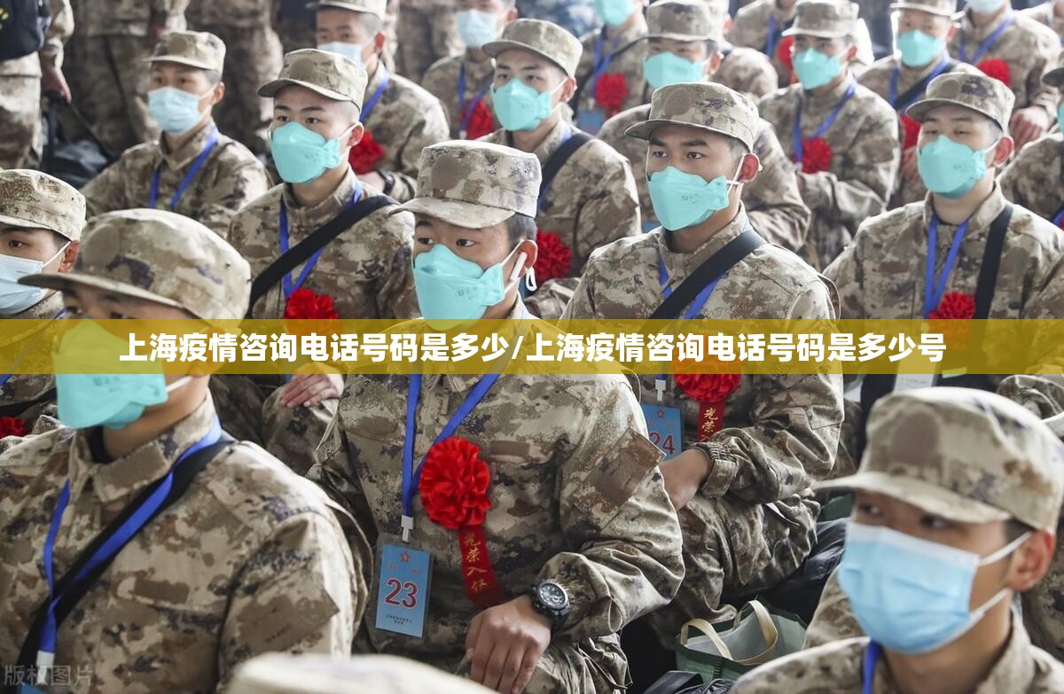 上海疫情咨询电话号码是多少/上海疫情咨询电话号码是多少号