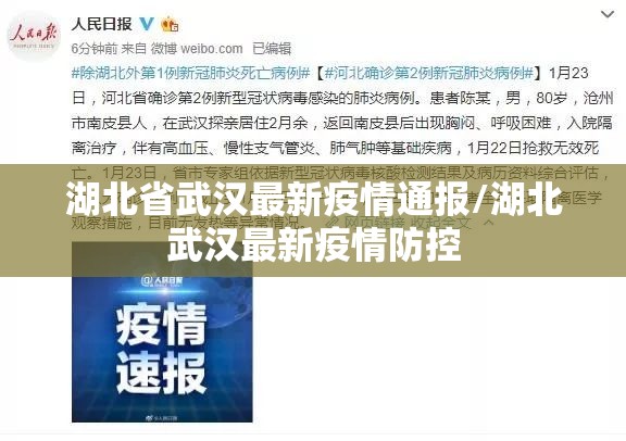 湖北省武汉最新疫情通报/湖北武汉最新疫情防控