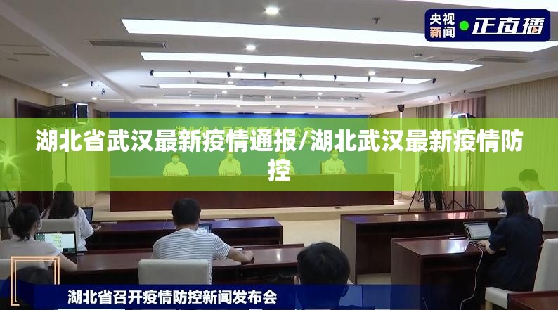 湖北省武汉最新疫情通报/湖北武汉最新疫情防控