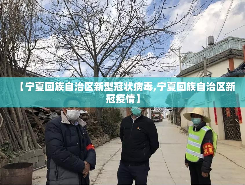 【宁夏回族自治区新型冠状病毒,宁夏回族自治区新冠疫情】