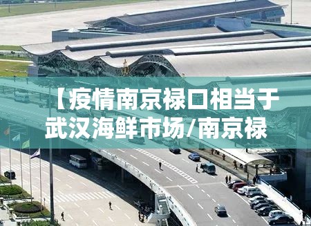 【疫情南京禄口相当于武汉海鲜市场/南京禄口机场相当于武汉海鲜市场】