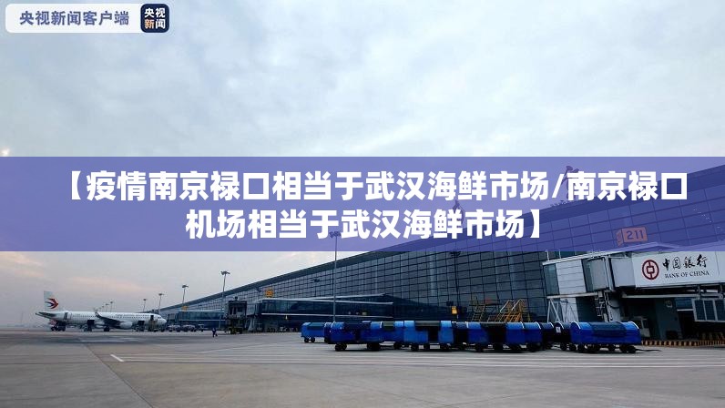 【疫情南京禄口相当于武汉海鲜市场/南京禄口机场相当于武汉海鲜市场】