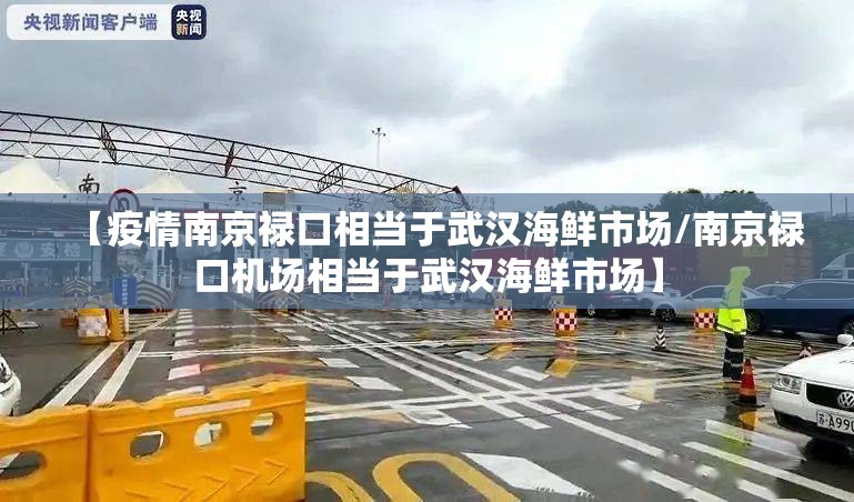 【疫情南京禄口相当于武汉海鲜市场/南京禄口机场相当于武汉海鲜市场】