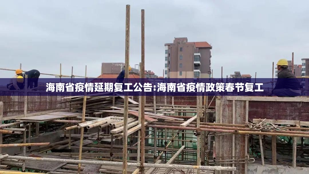 海南省疫情延期复工公告:海南省疫情政策春节复工