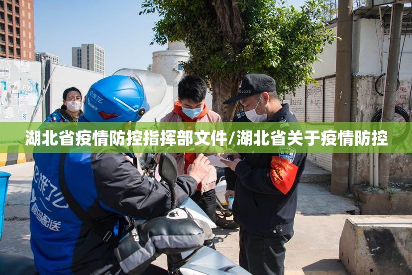 湖北省疫情防控指挥部文件/湖北省关于疫情防控