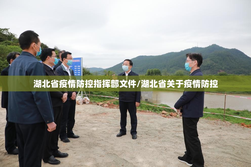湖北省疫情防控指挥部文件/湖北省关于疫情防控