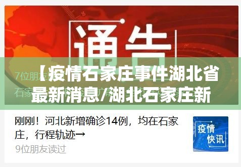 【疫情石家庄事件湖北省最新消息/湖北石家庄新冠肺炎】