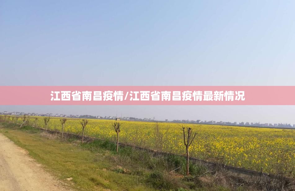 江西省南昌疫情/江西省南昌疫情最新情况