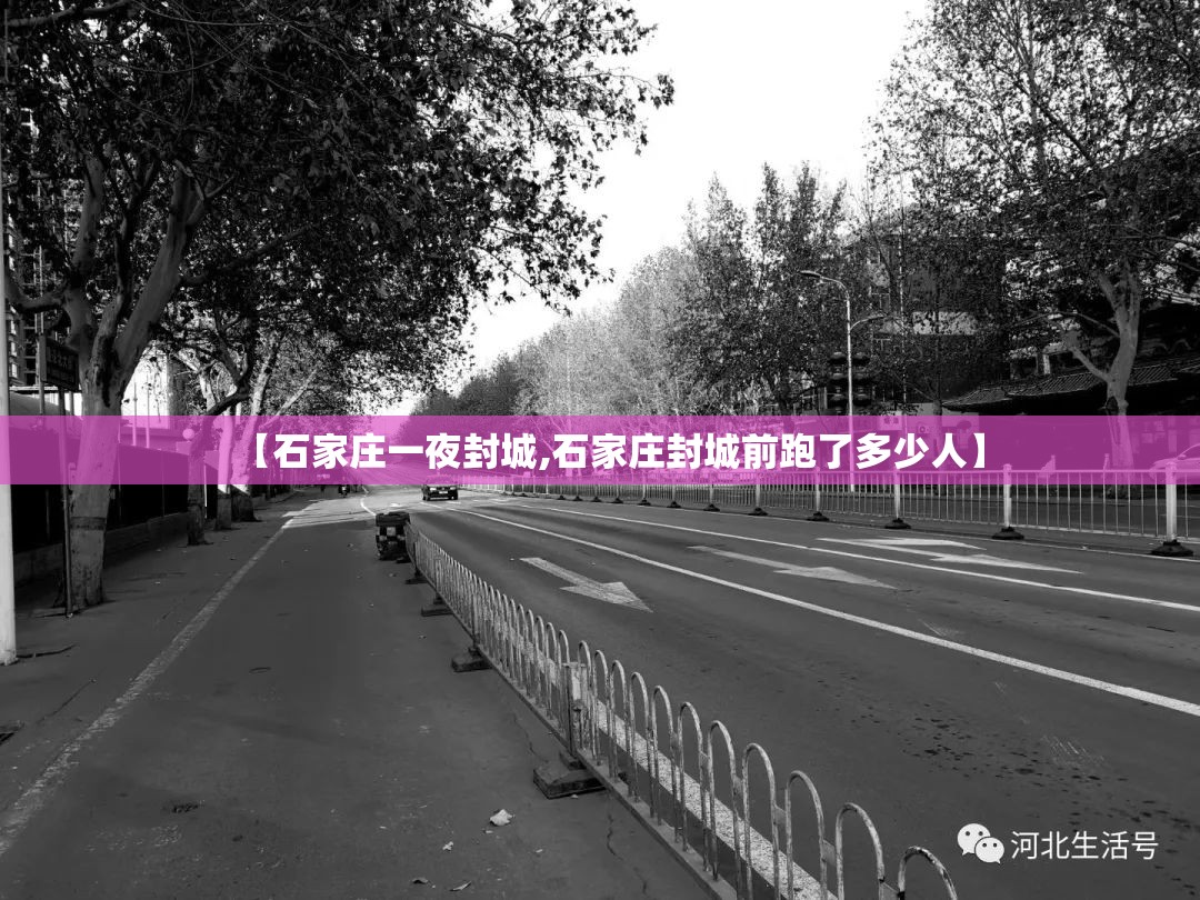 【石家庄一夜封城,石家庄封城前跑了多少人】