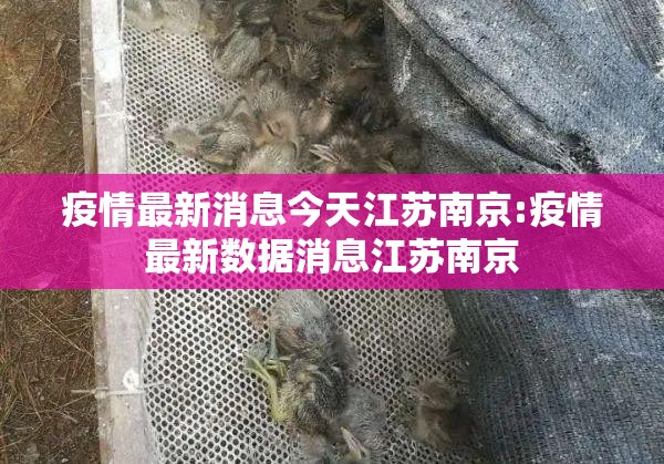 疫情最新消息今天江苏南京:疫情最新数据消息江苏南京