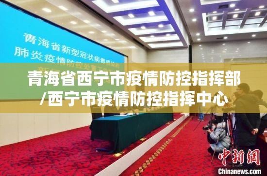 青海省西宁市疫情防控指挥部/西宁市疫情防控指挥中心