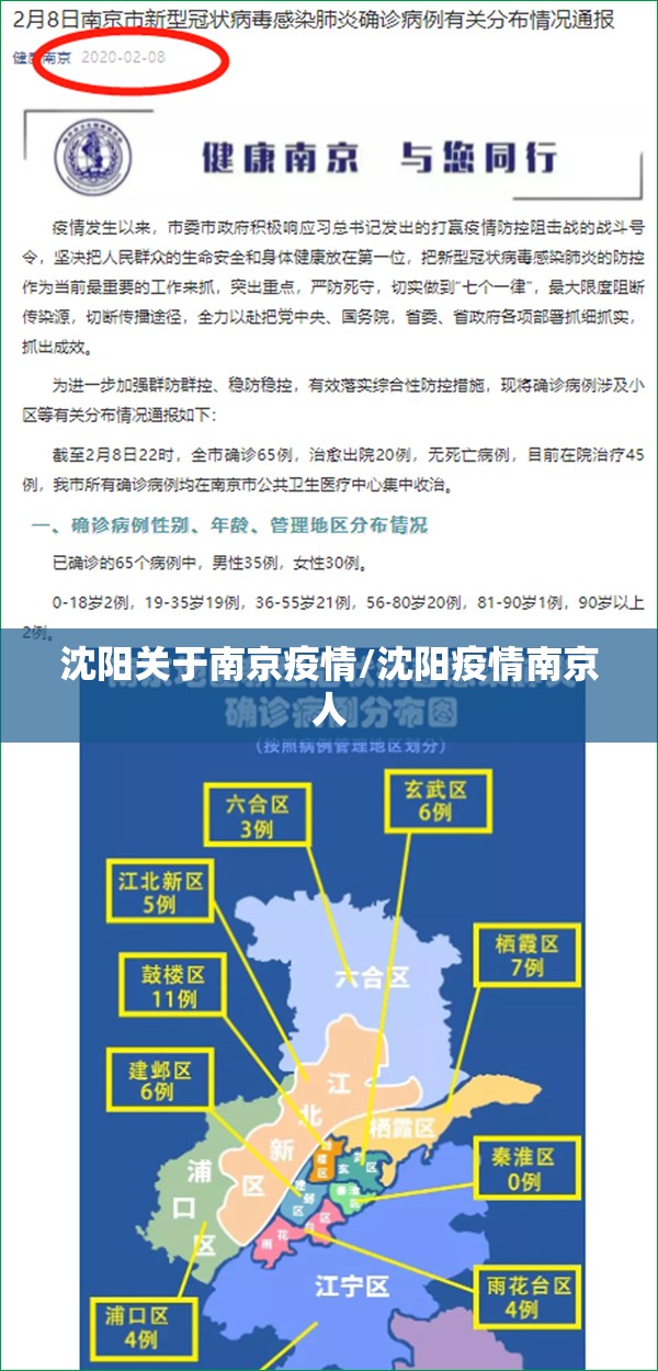 沈阳关于南京疫情/沈阳疫情南京人