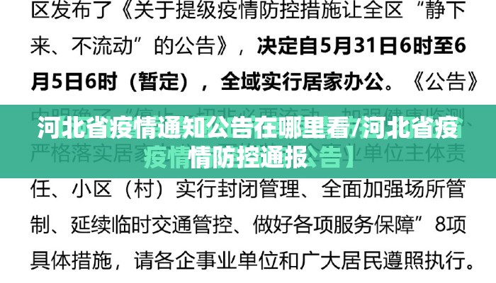 河北省疫情通知公告在哪里看/河北省疫情防控通报