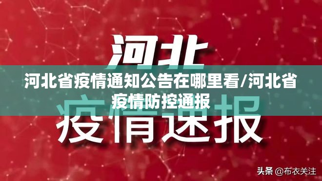 河北省疫情通知公告在哪里看/河北省疫情防控通报