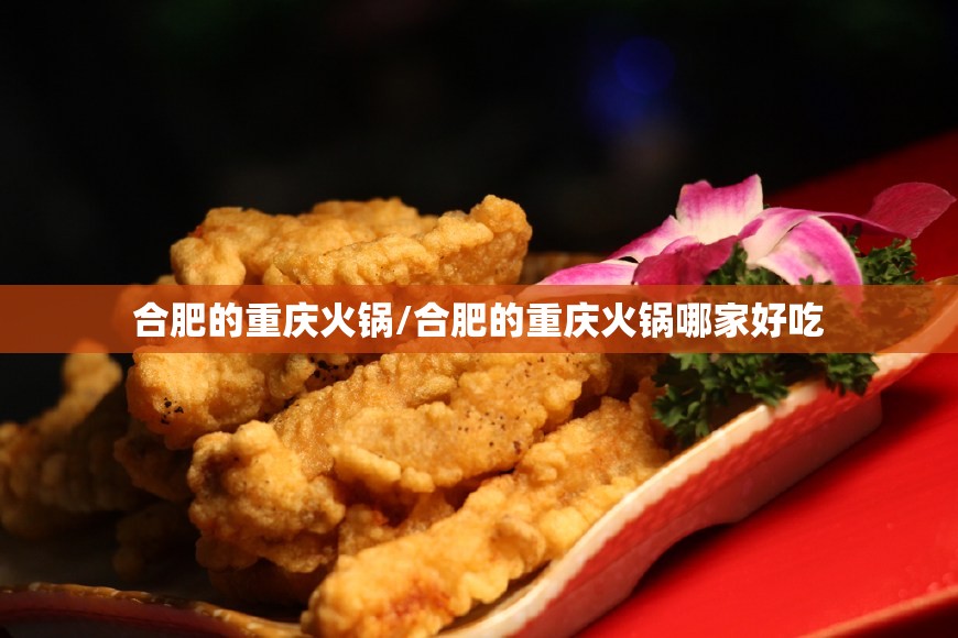 合肥的重庆火锅/合肥的重庆火锅哪家好吃