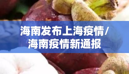 海南发布上海疫情/海南疫情新通报