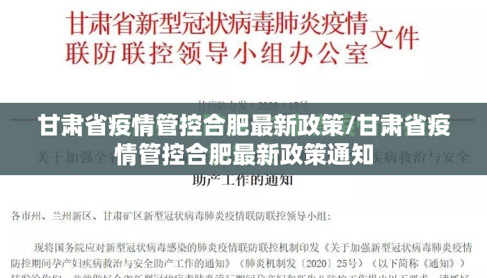 甘肃省疫情管控合肥最新政策/甘肃省疫情管控合肥最新政策通知
