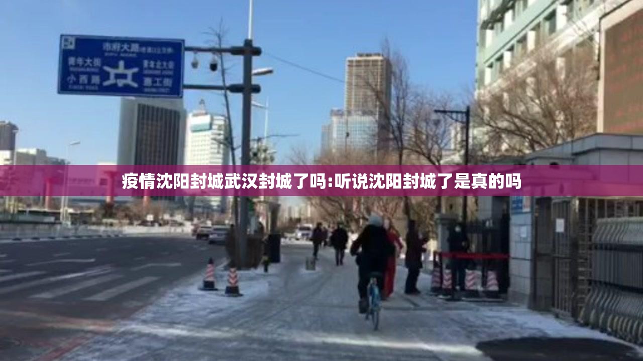 疫情沈阳封城武汉封城了吗:听说沈阳封城了是真的吗