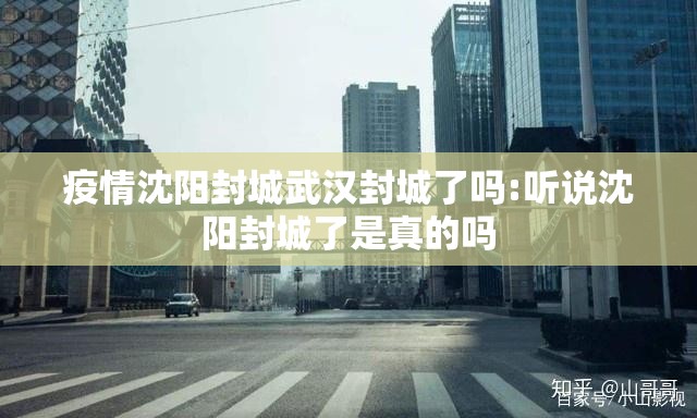 疫情沈阳封城武汉封城了吗:听说沈阳封城了是真的吗