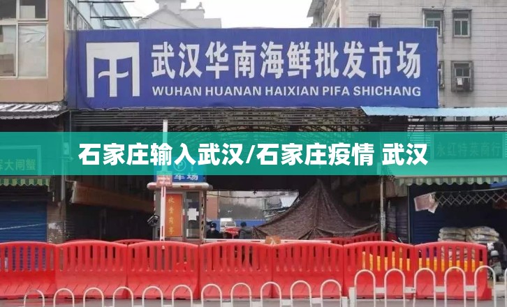 石家庄输入武汉/石家庄疫情 武汉