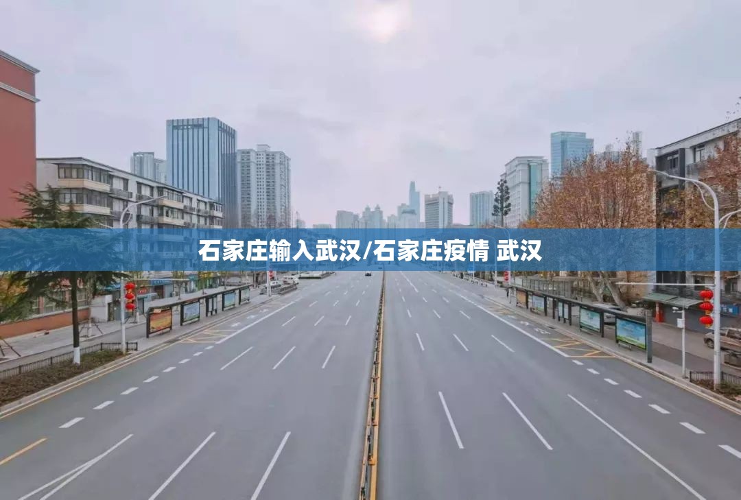 石家庄输入武汉/石家庄疫情 武汉