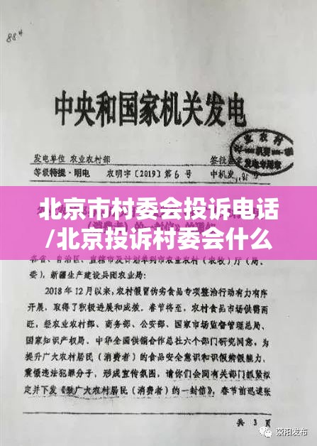 北京市村委会投诉电话/北京投诉村委会什么电话号码