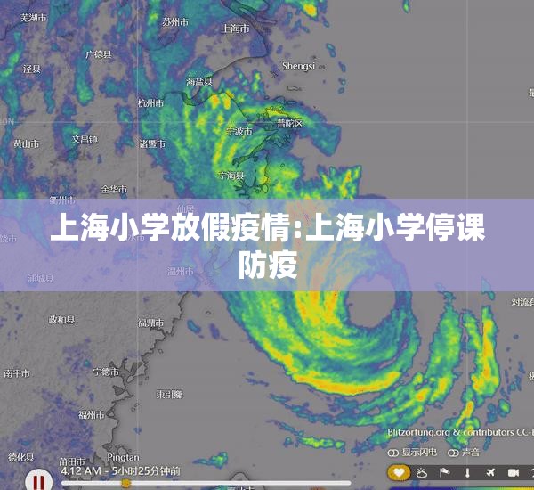 上海小学放假疫情:上海小学停课防疫