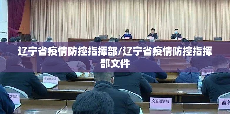 辽宁省疫情防控指挥部/辽宁省疫情防控指挥部文件
